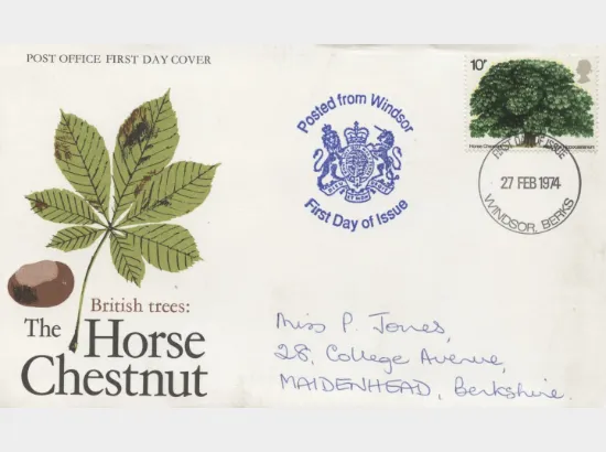 British Trees - The Horse Chestnut