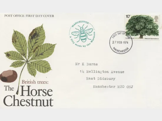 British Trees - The Horse Chestnut