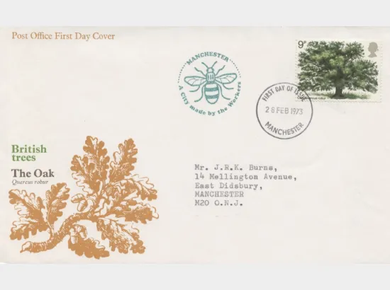 British Trees - The Oak