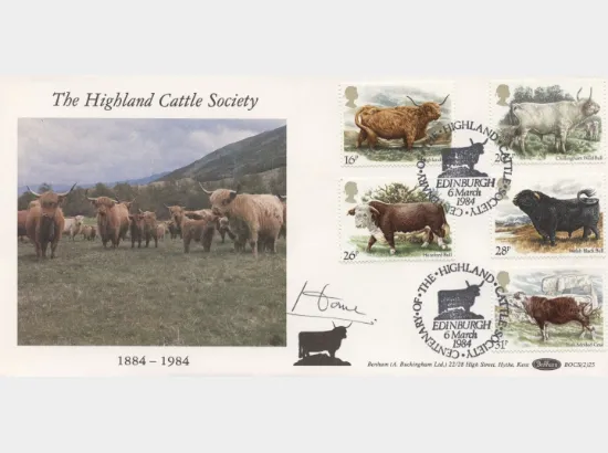 British Cattle