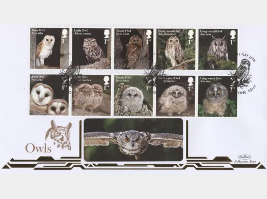 Owls
