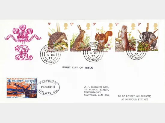 British Wildlife British Wildlife