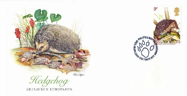 British Wildlife
