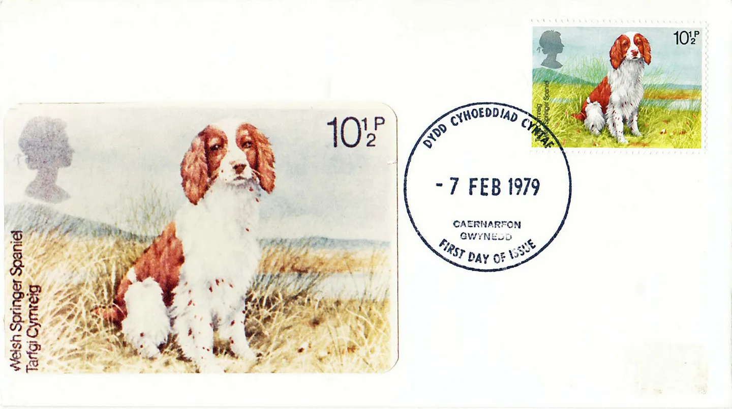 z1979_dogs_15 z1979_dogs_15