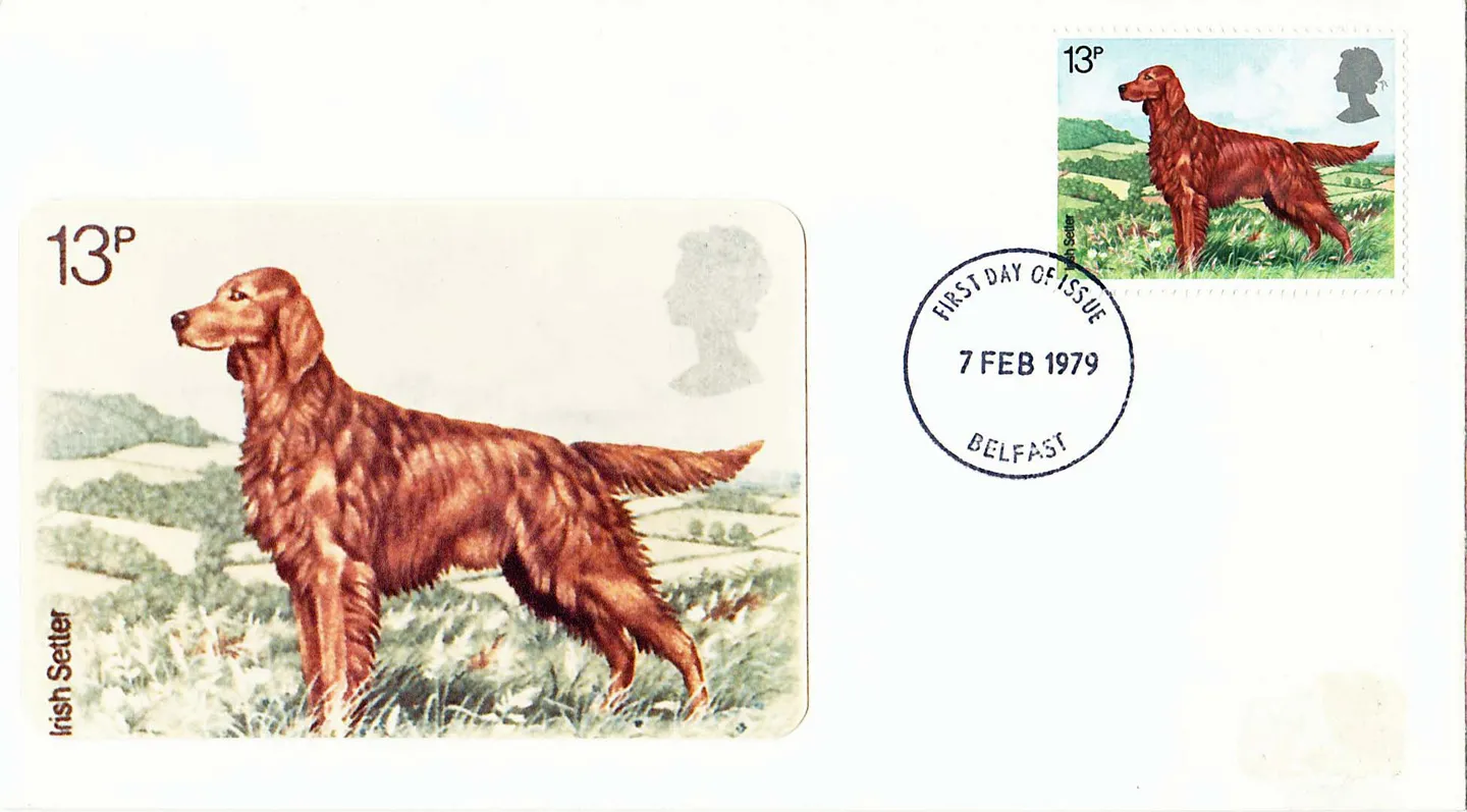 z1979_dogs_16