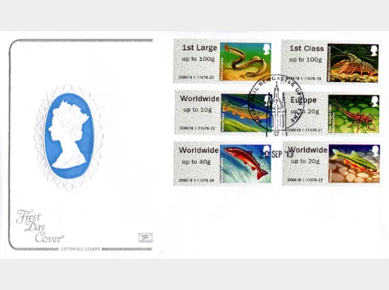 Freshwater Life: Series No.3, Rivers