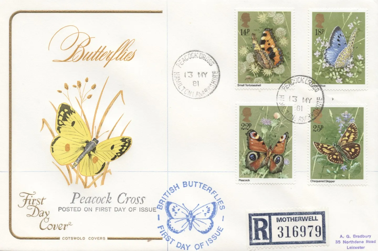 zCotswold_1981_DButterflies_3827
