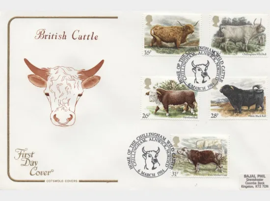 British Cattle