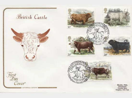 British Cattle