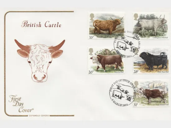 British Cattle