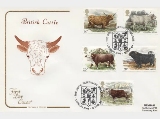 British Cattle