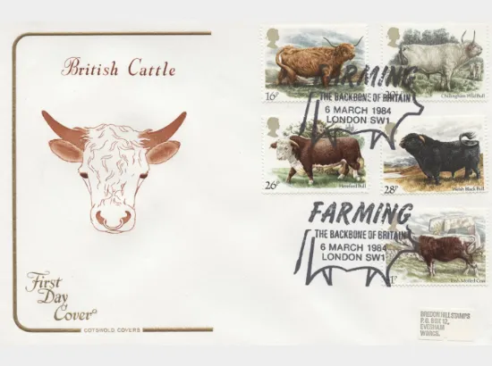 British Cattle