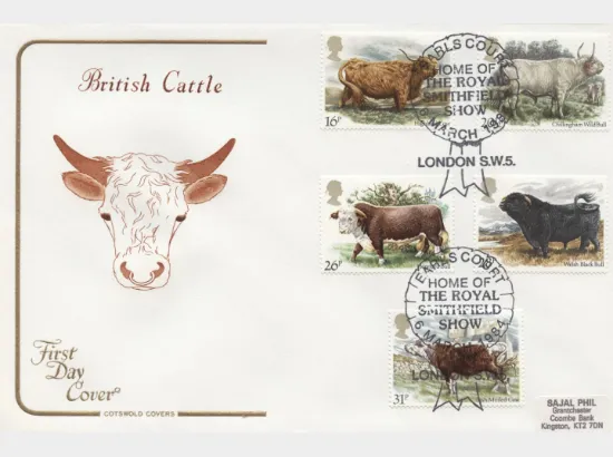 British Cattle