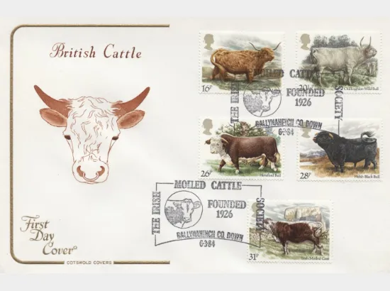 British Cattle