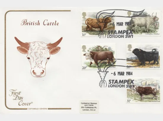 British Cattle