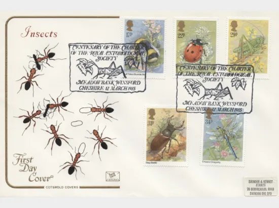 British Insects
