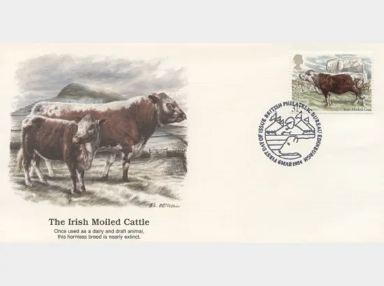 British Cattle