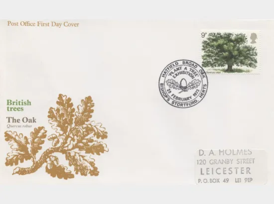 British Trees - The Oak