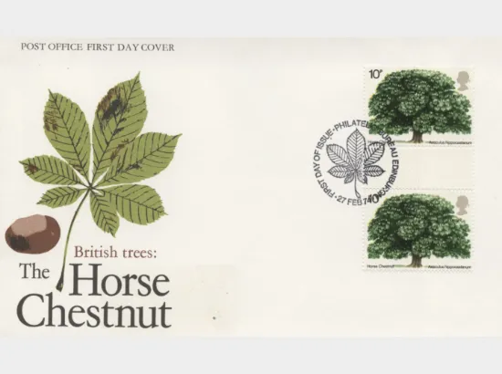 British Trees - The Horse Chestnut