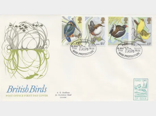 British Birds 1980