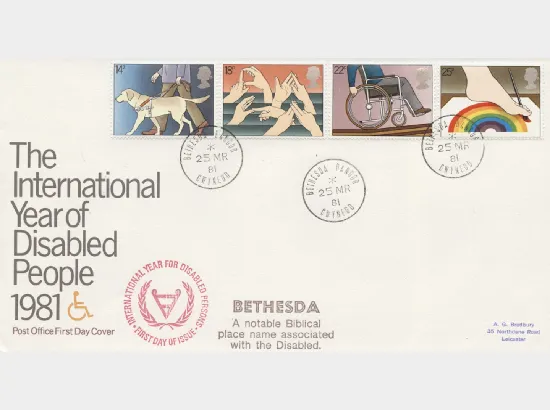 Year of the Disabled