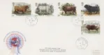 zRM_CV_1984_03_06_Cattle_4631 zRM_CV_1984_03_06_Cattle_4631