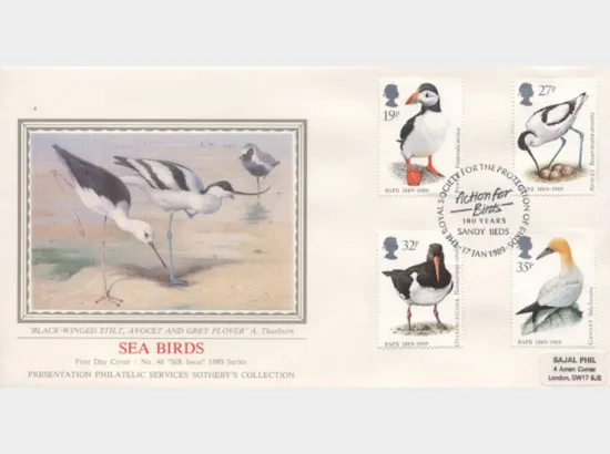 Sea Birds